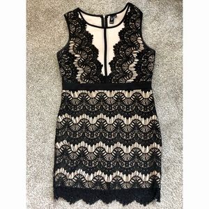 Windsor Black & Nude Lace Dress
